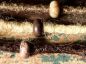 Preview: picasso dread pearls, Dreadschmuck, dreadperlen, schmuck für dreadlocks, dreadlock schmuck, dreadperle,Handgefertigte Unikate , Fairy, Elfe, Mittelalterschmuck, Middleage, Fantasy, Bohemian, Cosplay, Gypsy, Hippie, Festival, gothic schmuck, dread